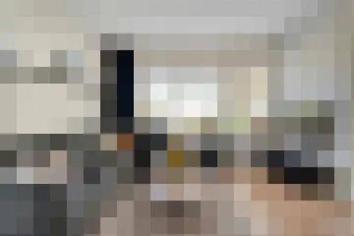 H Roland Holstln 33 Coevorden thumbnail 13