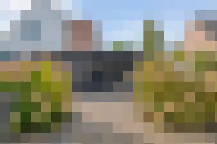 H Roland Holstln 33 Coevorden thumbnail 31