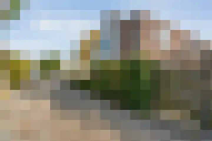 H Roland Holstln 33 Coevorden thumbnail 34