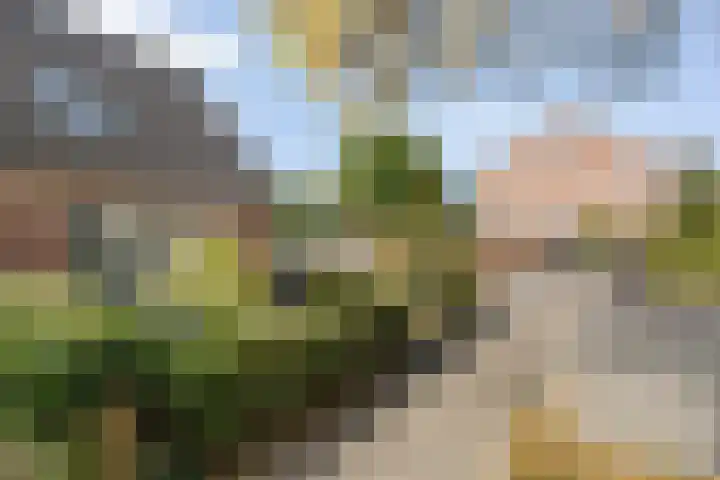 H Roland Holstln 33 Coevorden thumbnail 6