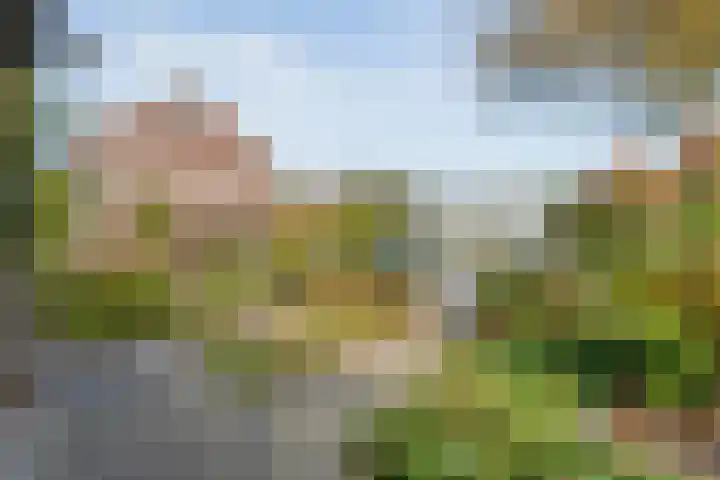 H Roland Holstln 33 Coevorden thumbnail 7
