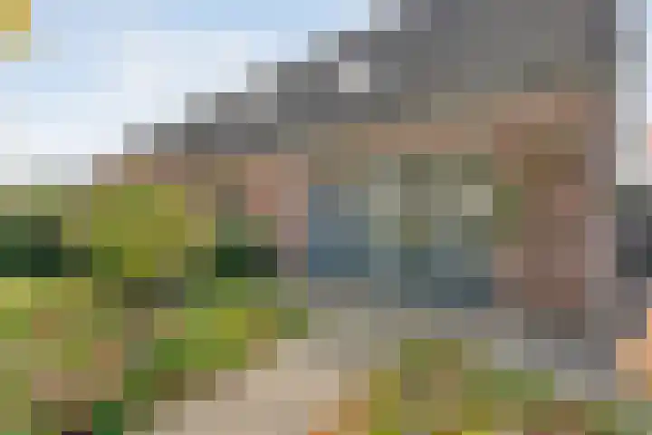 H Roland Holstln 33 Coevorden thumbnail 8