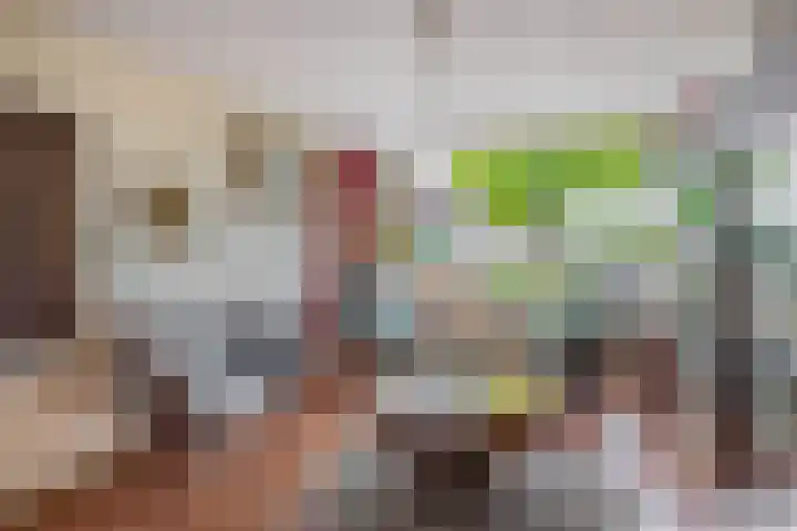 H Roland Holststraat 11 Capelle aan den IJssel thumbnail 13