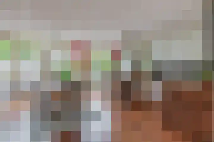 H Roland Holststraat 11 Capelle aan den IJssel thumbnail 16