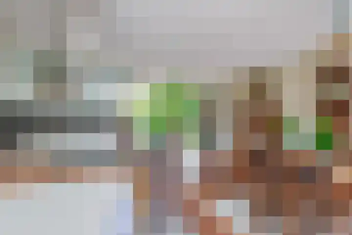 H Roland Holststraat 11 Capelle aan den IJssel thumbnail 17