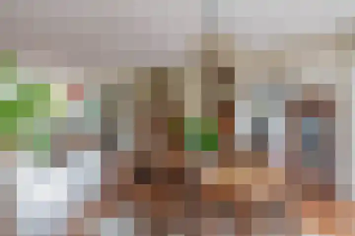 H Roland Holststraat 11 Capelle aan den IJssel thumbnail 20