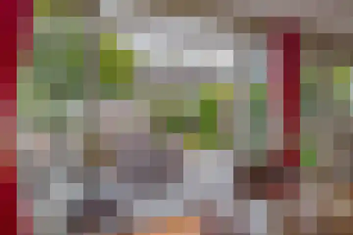 H Roland Holststraat 11 Capelle aan den IJssel thumbnail 21