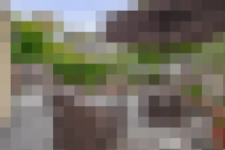 H Roland Holststraat 11 Capelle aan den IJssel thumbnail 22