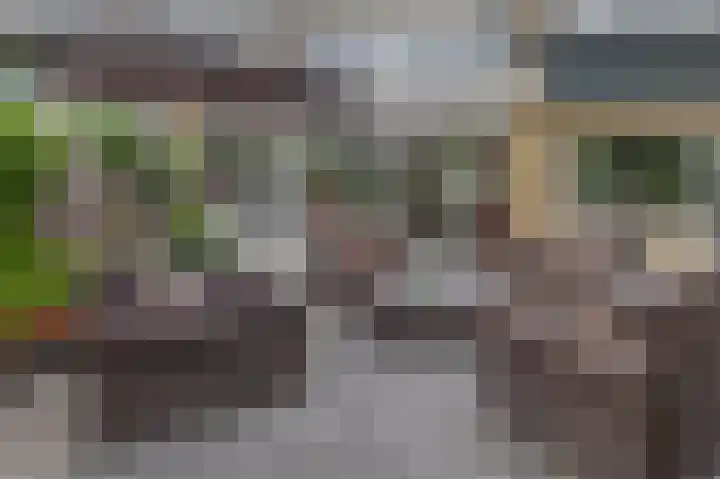 H Roland Holststraat 11 Capelle aan den IJssel thumbnail 24