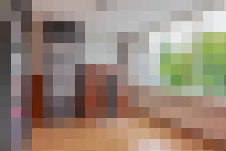 H Roland Holststraat 11 Capelle aan den IJssel thumbnail 32