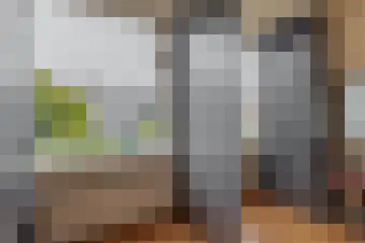 H Roland Holststraat 11 Capelle aan den IJssel thumbnail 33