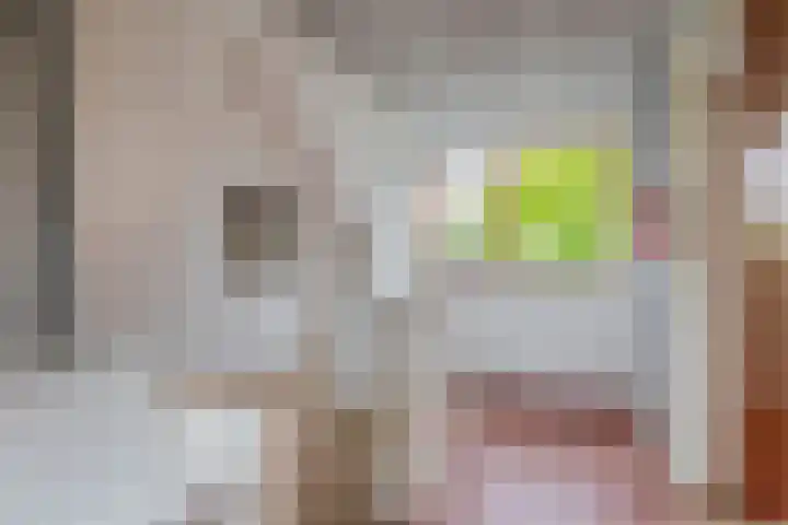 H Roland Holststraat 11 Capelle aan den IJssel thumbnail 35