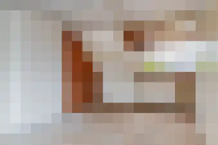 H Roland Holststraat 11 Capelle aan den IJssel thumbnail 37