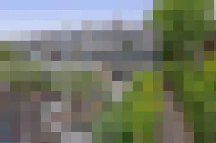 H Roland Holststraat 11 Capelle aan den IJssel thumbnail 40