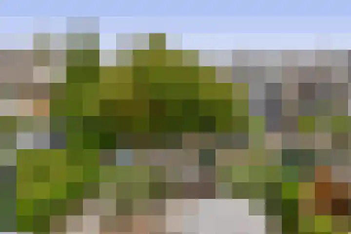 H Roland Holststraat 11 Capelle aan den IJssel thumbnail 41