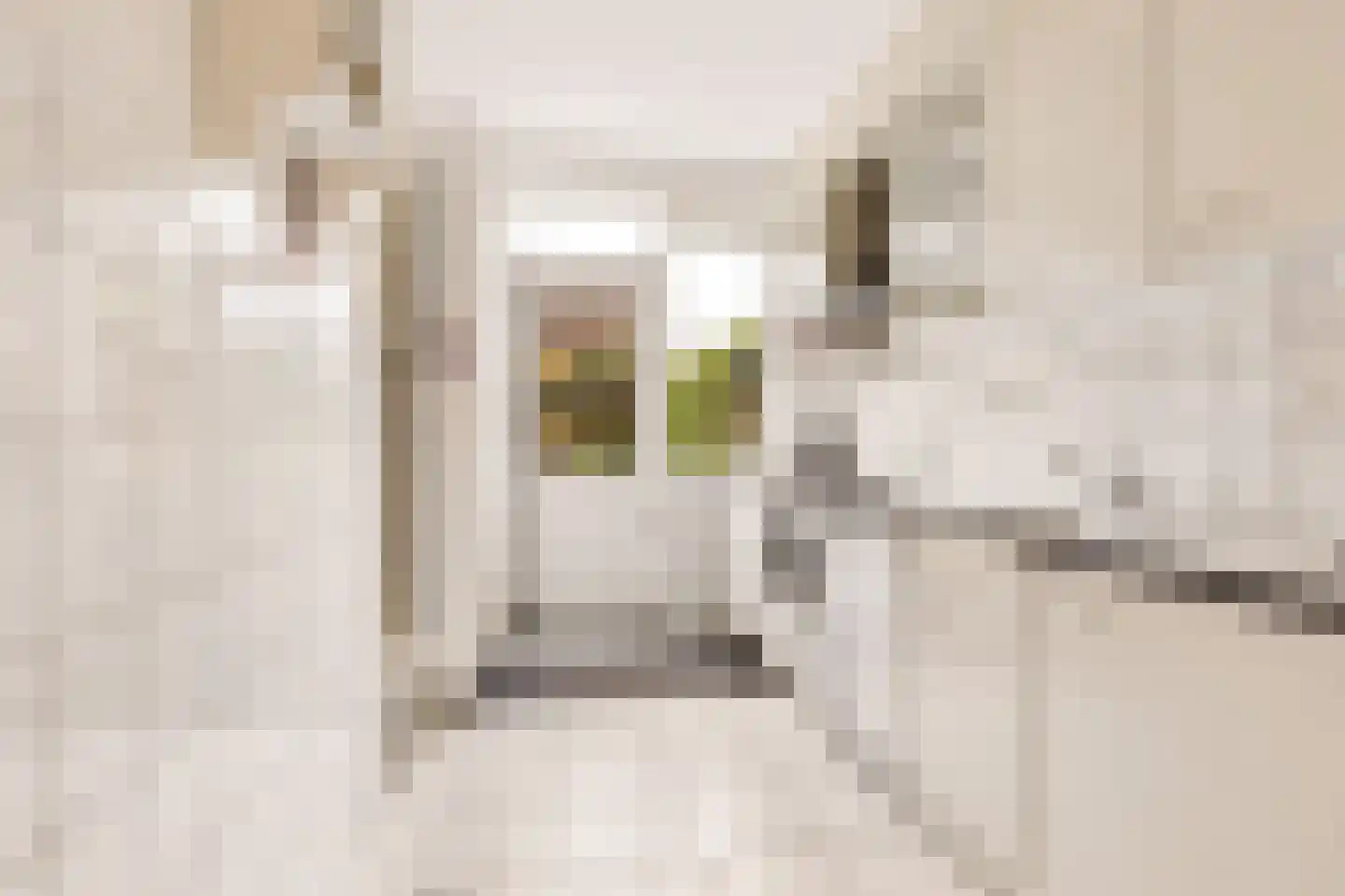 H Roland Holststraat 29 Zwolle thumbnail 11