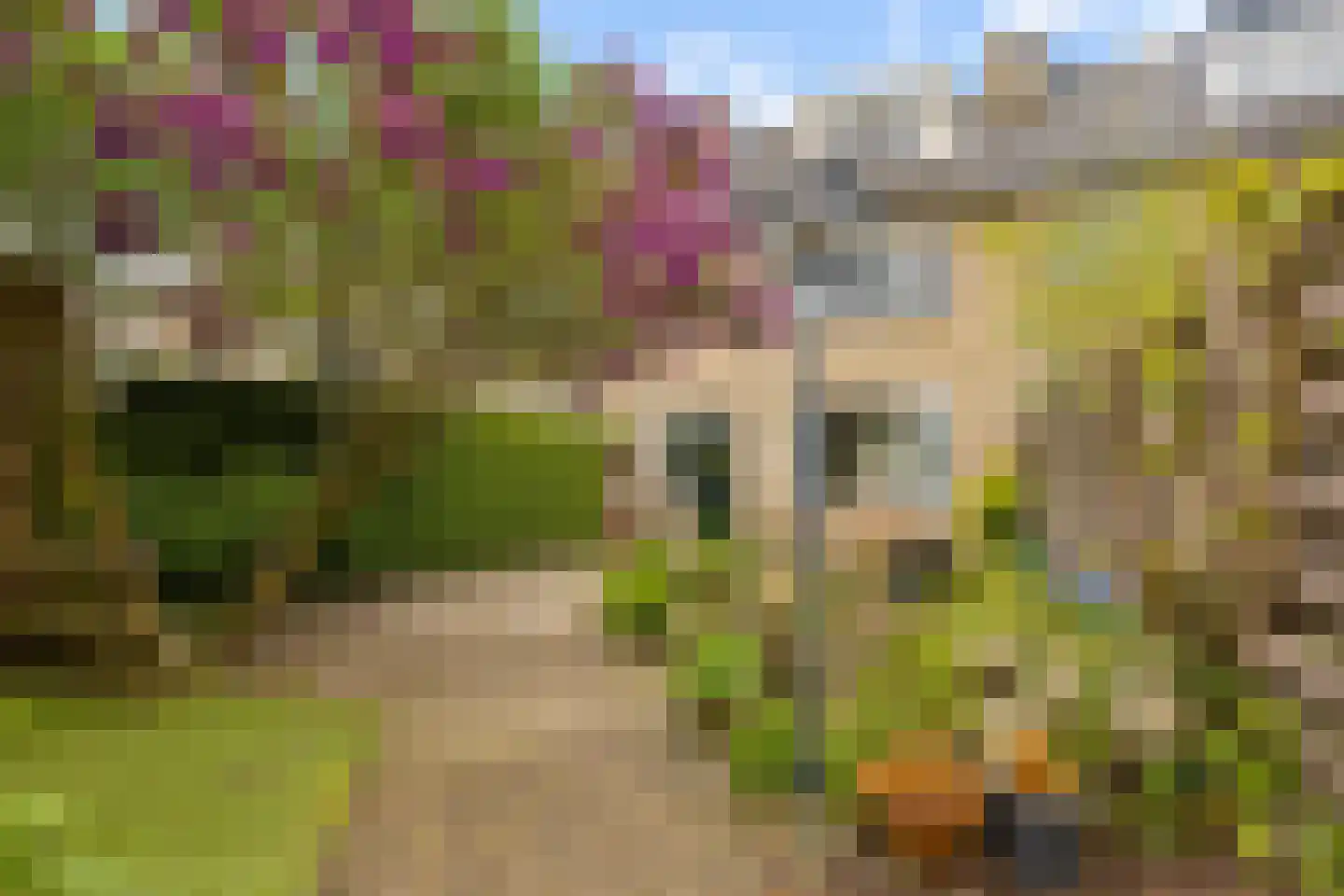 H Roland Holststraat 29 Zwolle thumbnail 27