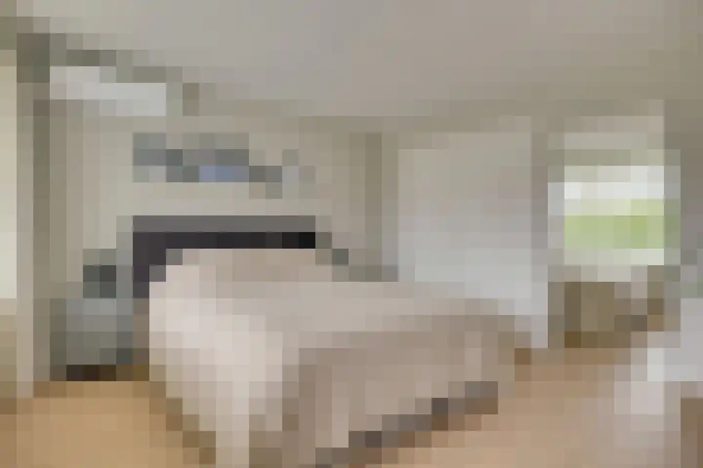 H Roland Holststraat 32 Zwolle thumbnail 20