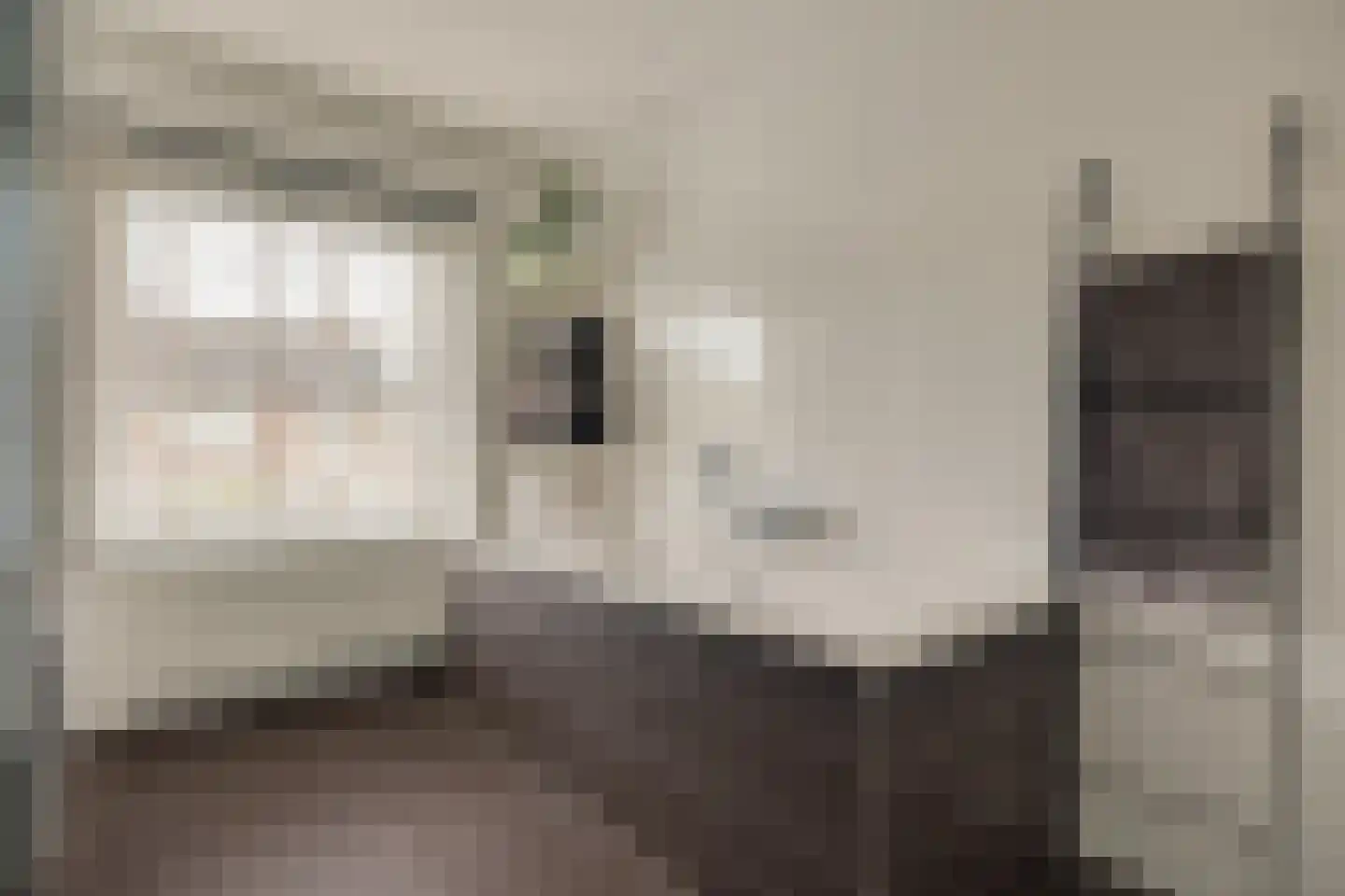 H Roland Holststraat 32 Zwolle thumbnail 31