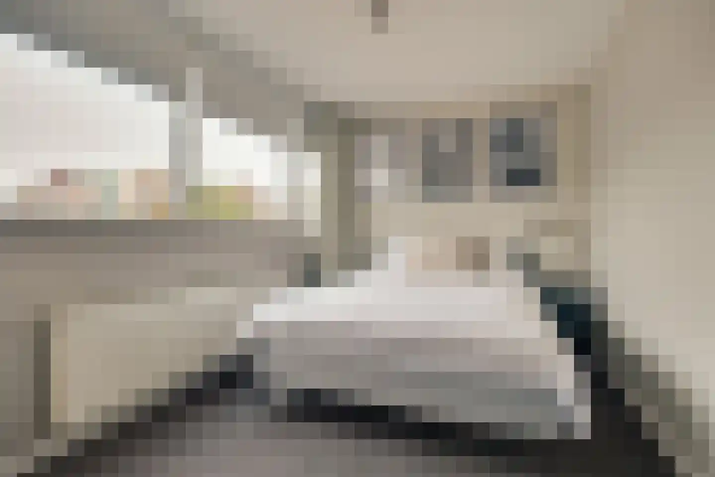 H Roland Holststraat 32 Zwolle thumbnail 33