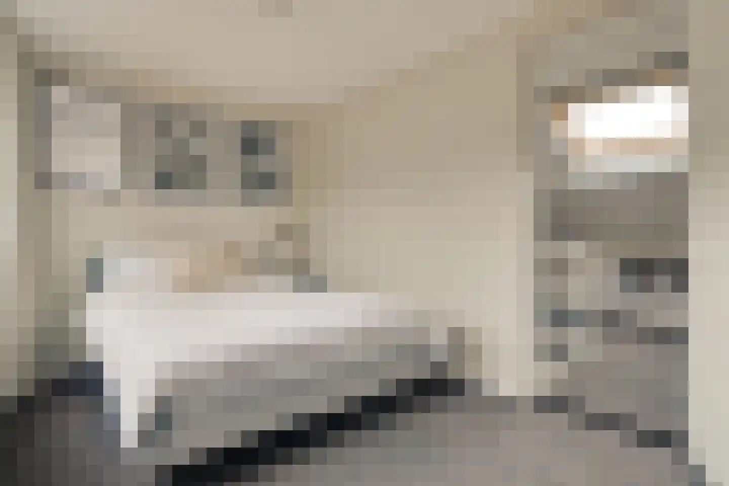 H Roland Holststraat 32 Zwolle thumbnail 34