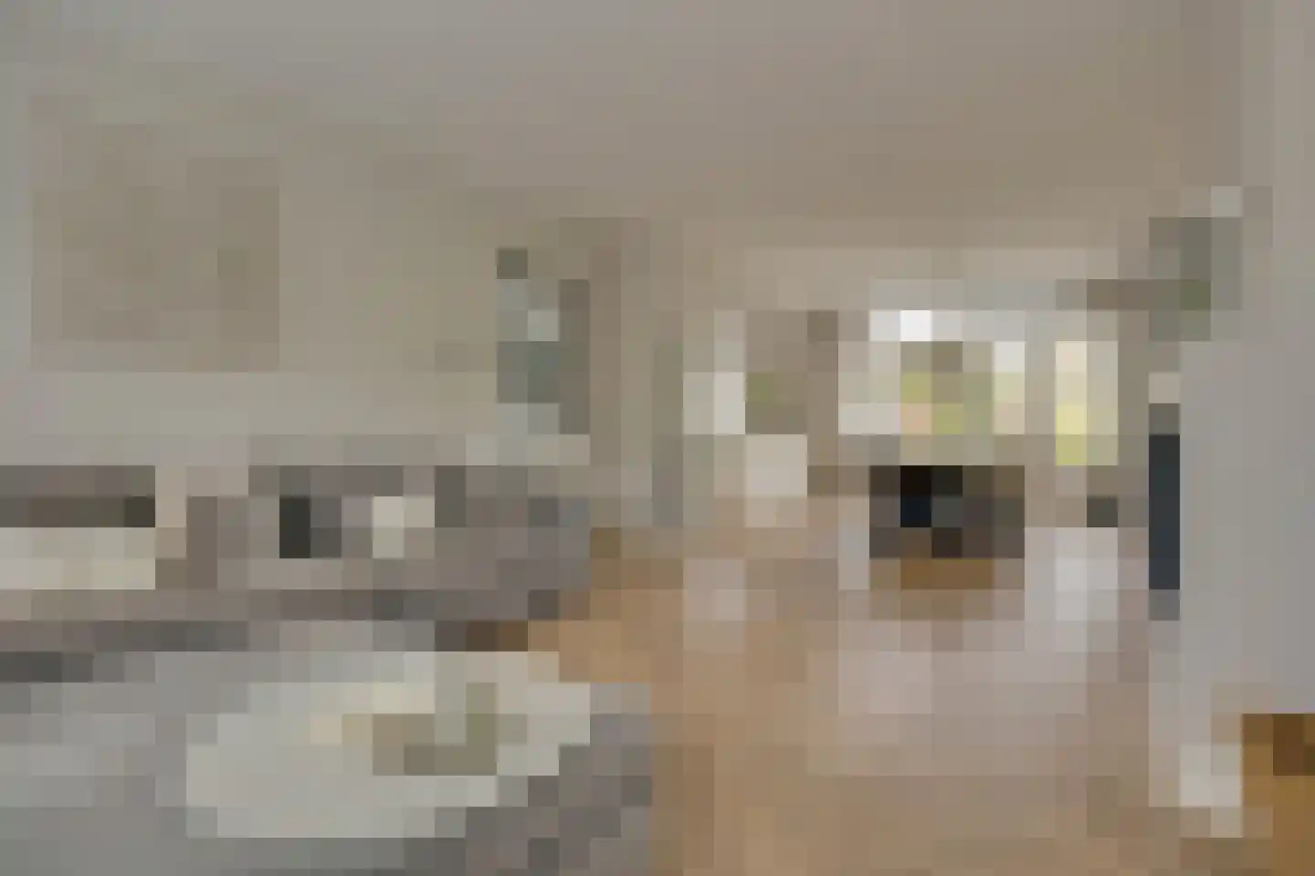 H Roland Holststraat 32 Zwolle thumbnail 4