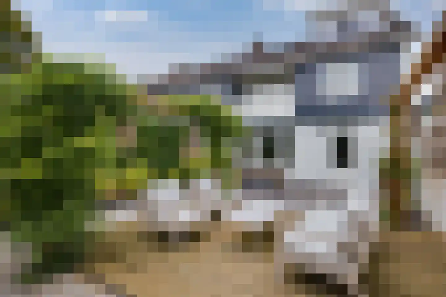 H Roland Holststraat 32 Zwolle thumbnail 44