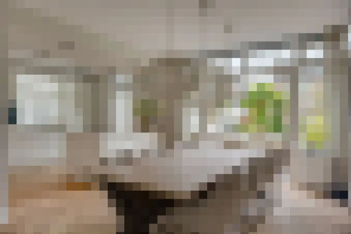 H Roland Holststraat 32 Zwolle thumbnail 7