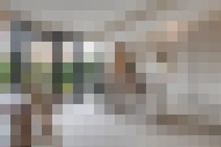 H Roland Holststraat 9 Zwolle thumbnail 10