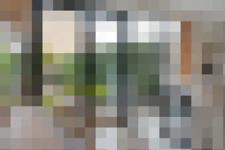 H Roland Holststraat 9 Zwolle thumbnail 13