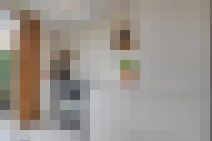H Roland Holststraat 9 Zwolle thumbnail 14