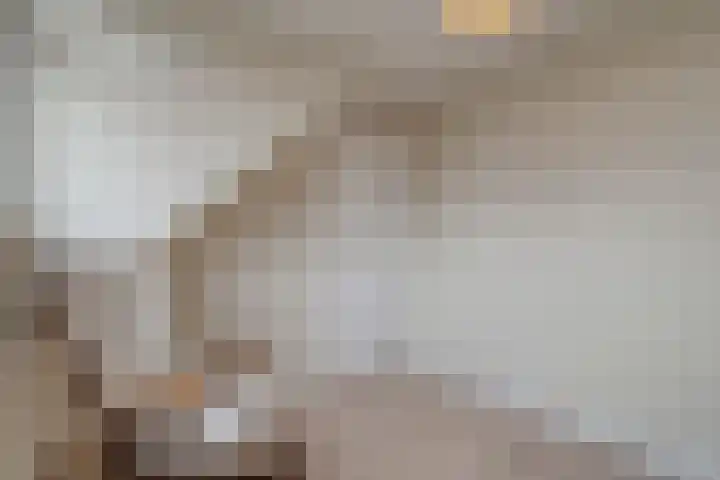 H Roland Holststraat 9 Zwolle thumbnail 32