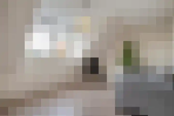 H Roland Holststraat 9 Zwolle thumbnail 33