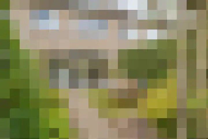 H Roland Holststraat 9 Zwolle thumbnail 35