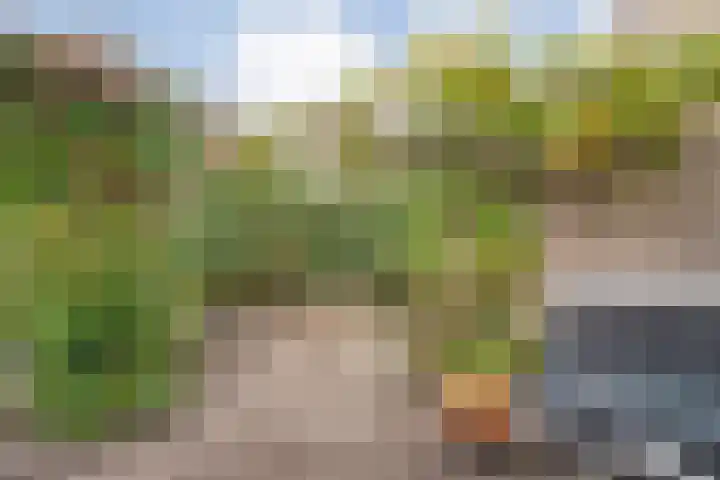 H Roland Holststraat 9 Zwolle thumbnail 41