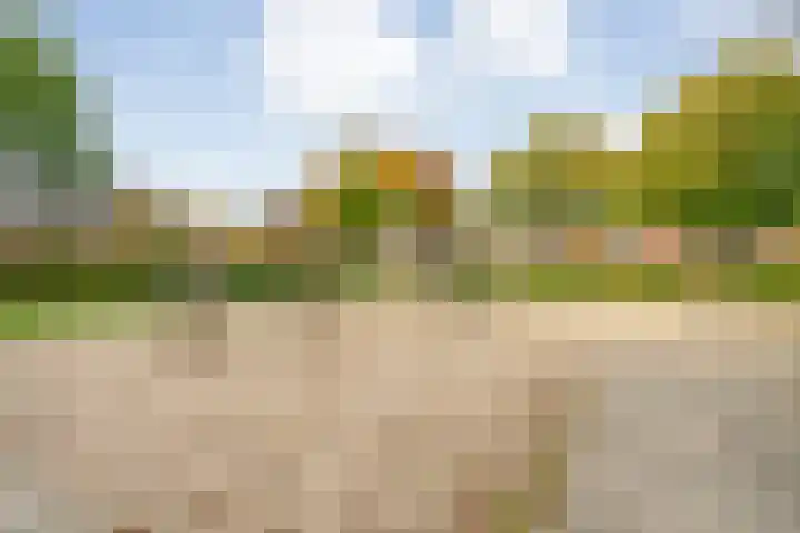 H Roland Holststraat 9 Zwolle thumbnail 44
