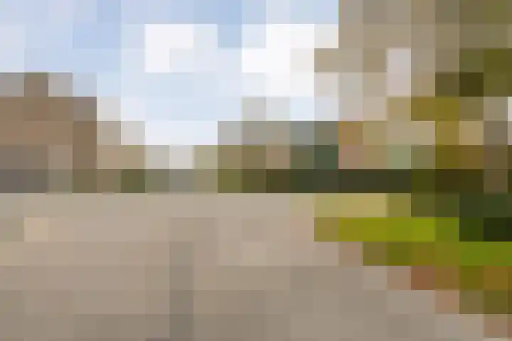 H Roland Holststraat 9 Zwolle thumbnail 46