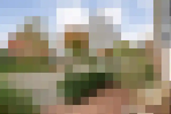H Roland Holststraat 9 Zwolle thumbnail 47