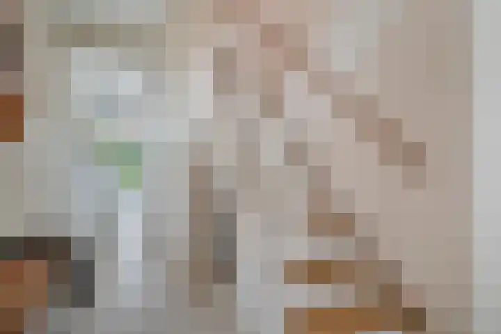 H Roland Holststraat 9 Zwolle thumbnail 5