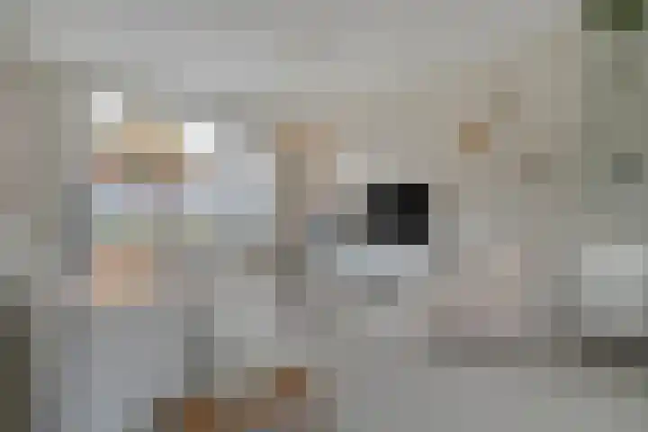 H Roland Holststraat 9 Zwolle thumbnail 6