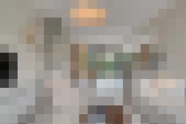 H Roland Holststraat 9 Zwolle thumbnail 8