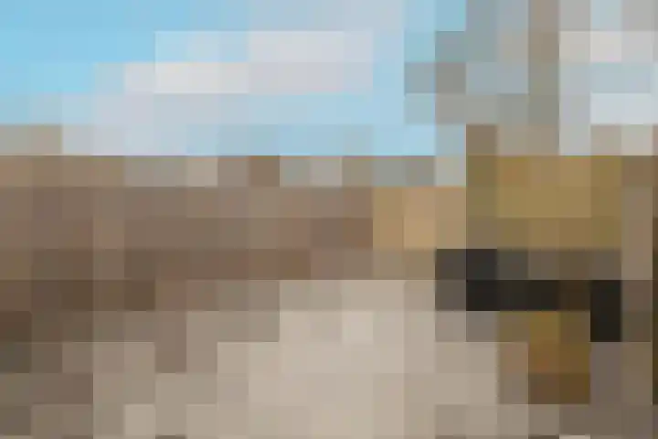 H. Roland Holstweg 29 's-Gravenzande thumbnail 36