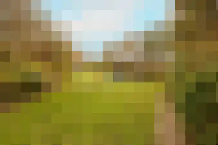 H. Roland Holstweg 29 's-Gravenzande thumbnail 39