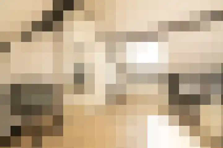 H. Roland Holstweg 35 's-Gravenzande thumbnail 32