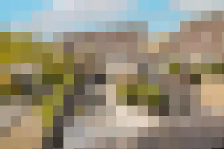 H. Roland Holstweg 35 's-Gravenzande thumbnail 35