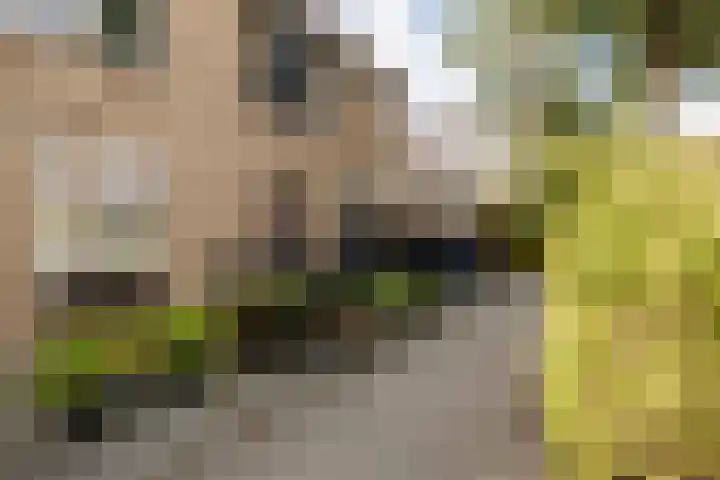 H. Roland Holstweg 35 's-Gravenzande thumbnail 42