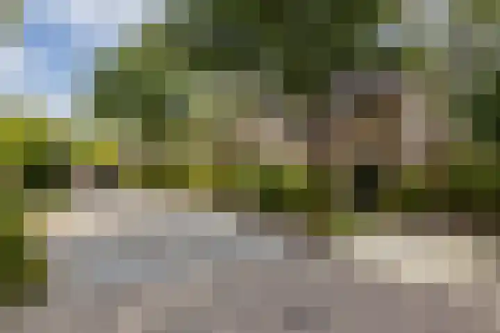 H. Roland Holstweg 35 's-Gravenzande thumbnail 44
