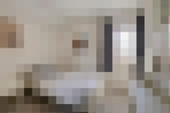 Photo d'équipe de H&S Makelaardij