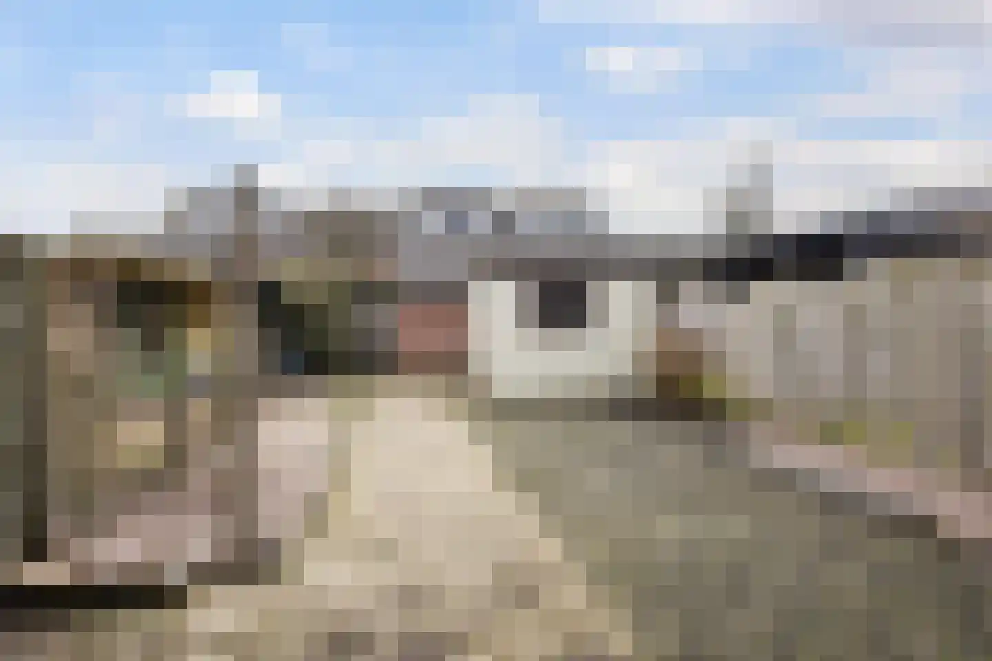 H.S.Schralestraat 10 Steenwijk thumbnail 4