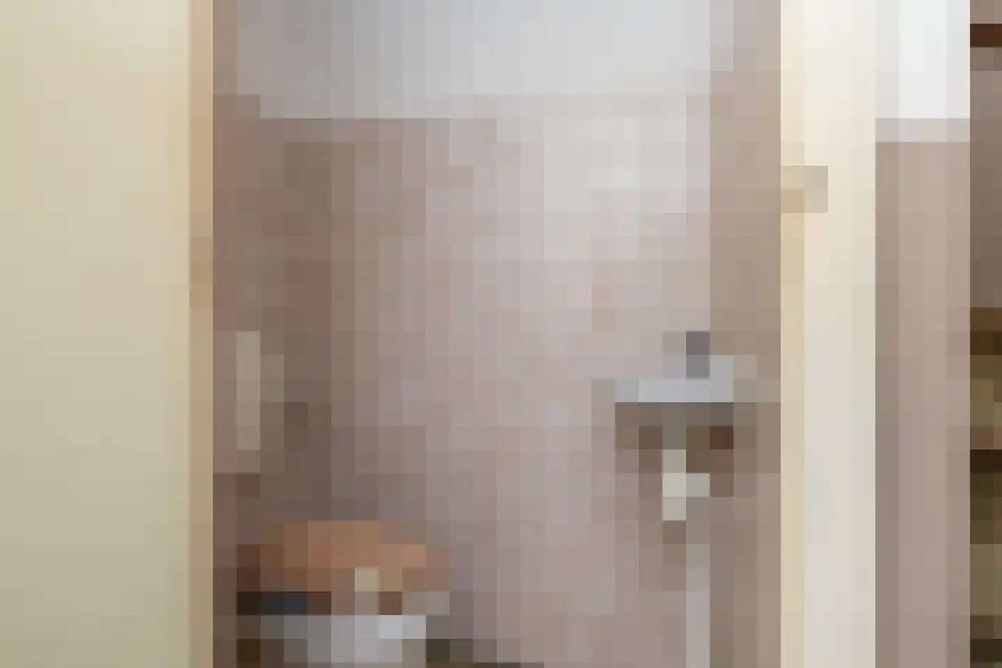 H.S.Schralestraat 10 Steenwijk thumbnail 6